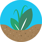 polyter-regeneration-soil.png Polyter ® -  hydro-rétenteur, fertilisant