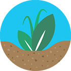 polyter-regeneration-soil.png POLYTER ®  - accoglienza-it