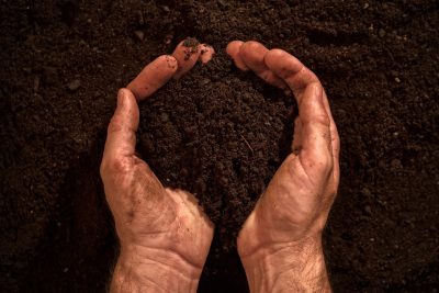 fertile-soil-in-dirty-male-hands-P3H8WH5-e1549619644452 البوليتر - البوليتر