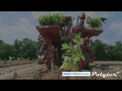 5 POLYTER ®  - Video