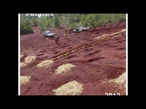 Nouvelle_Caldonie_-_Polyter_Restaure_les_quilibres_cologiques POLYTER ®  - Video