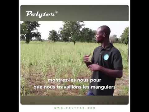Tmoignage_POLYTER_Manguier POLYTER ®  - Video