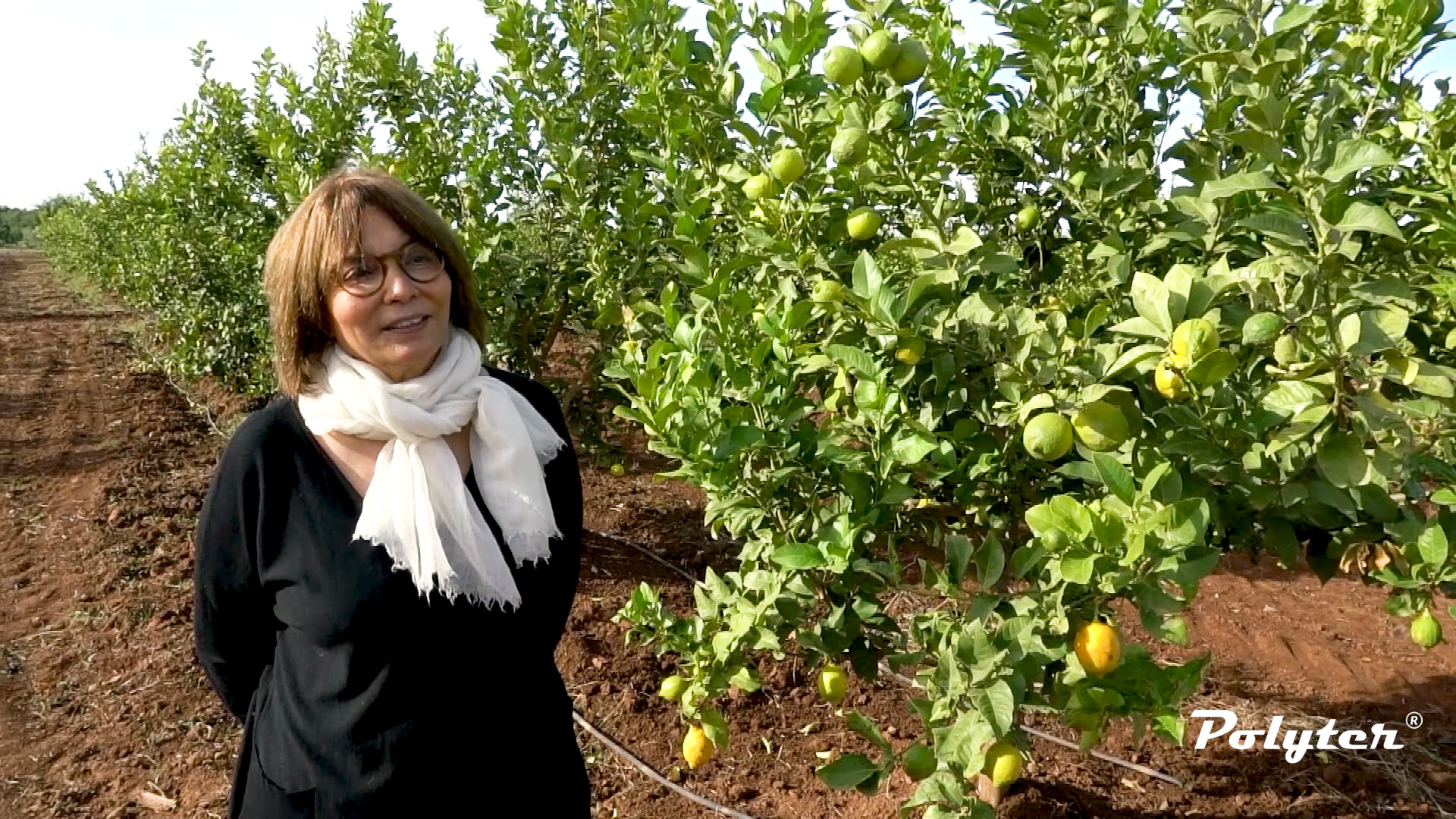 Tmoignage_propritaire_dune_ferme_agricole__Essaouira POLYTER ®  - Video