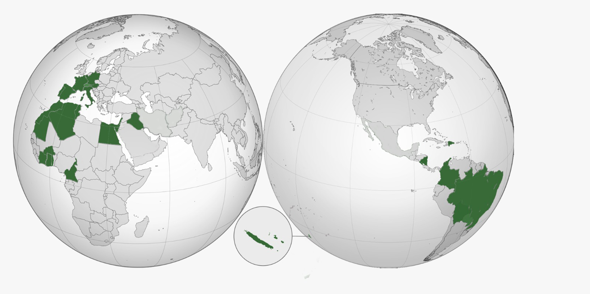 polyter_in_world POLYTER ®  - accoglienza-it